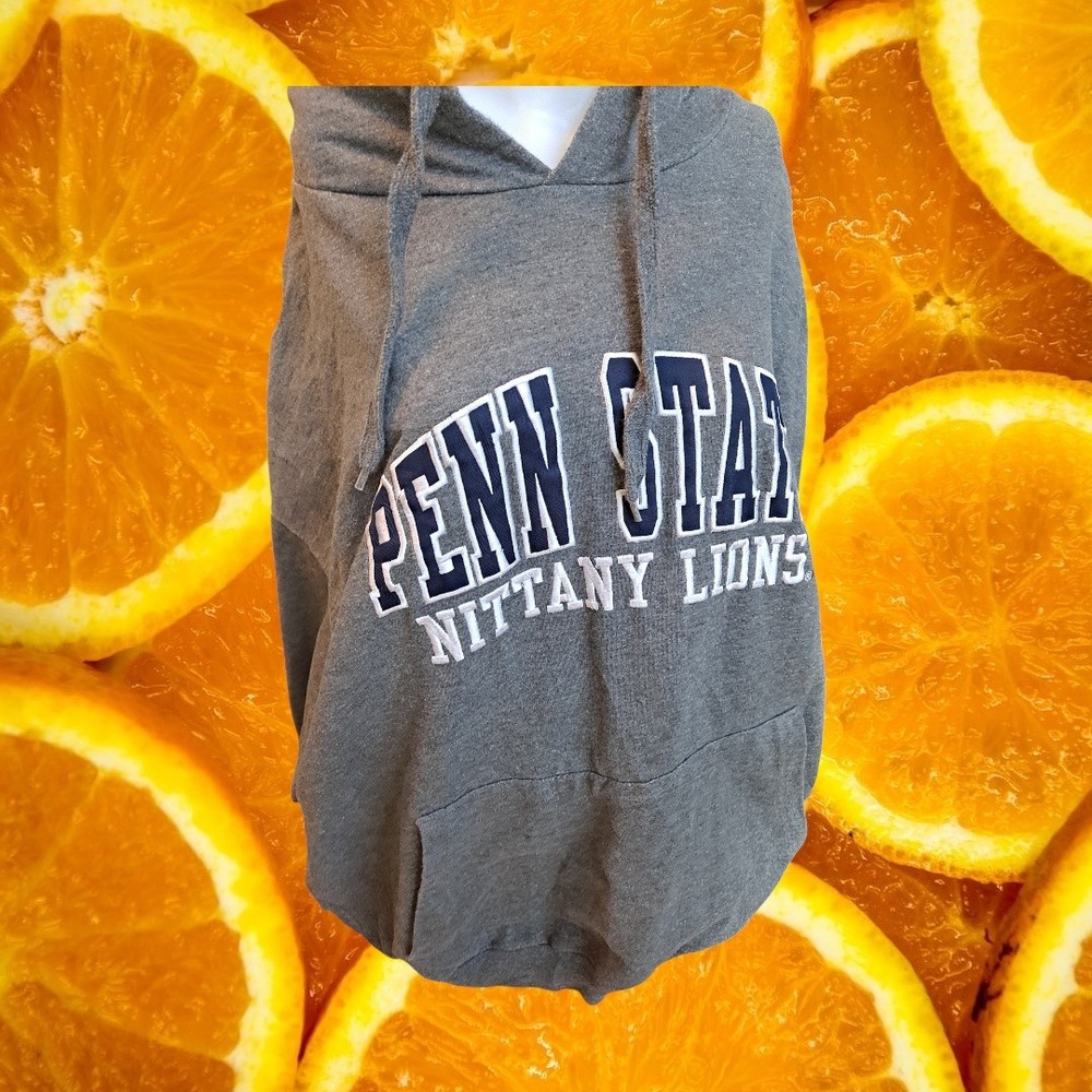 Old Varsity Brand Penn State Nittany Lions Gray Hoodie Sweatshirt Mens